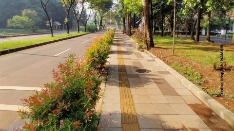 ¿Tu vecino bloquea la banqueta? Así puedes reportarlo.