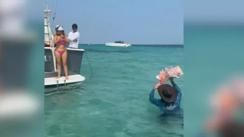 El Patrón de las Flores de Veracruz