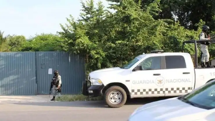 Federales aseguran predio con estupefacientes en Puerto Aventuras