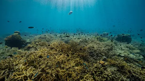 Temperatura oce&aacute;nica en aumento