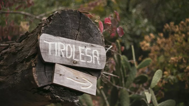 Caen dos niños de una tirolesa de 10 metros de altura en el parque de Zapopan cuál es su estado de salud