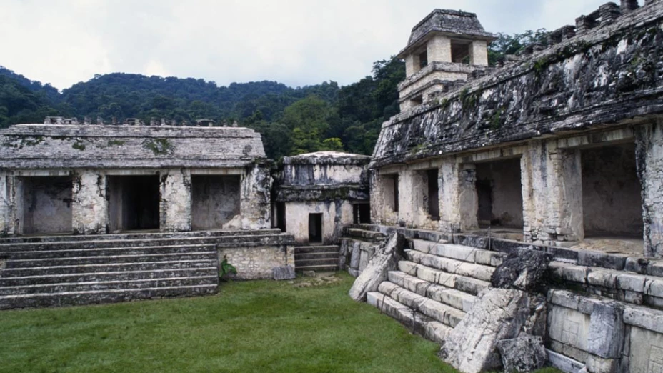7 Palenque