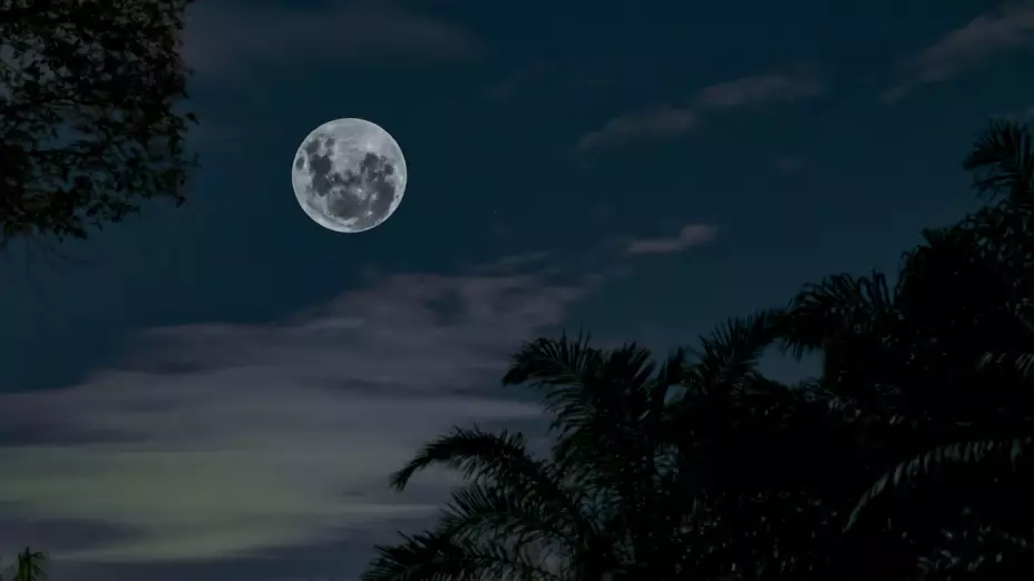 ¡No te la pierdas! La Luna Nueva del mes se presentará el 15 de septiembre 2023