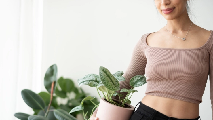 planta para bajar de peso