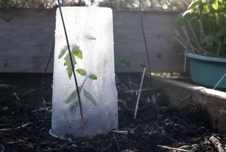 clima_07_noviembre_frente_frio