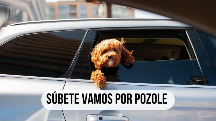 Jueves pozolero