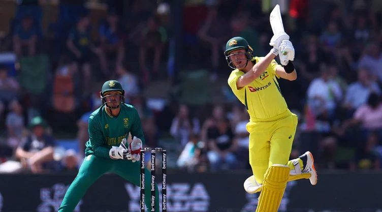 Cricket