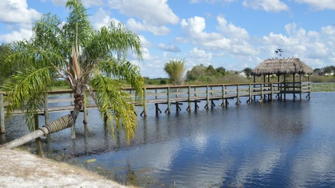 Una postal de un lago en Clermont, Florida