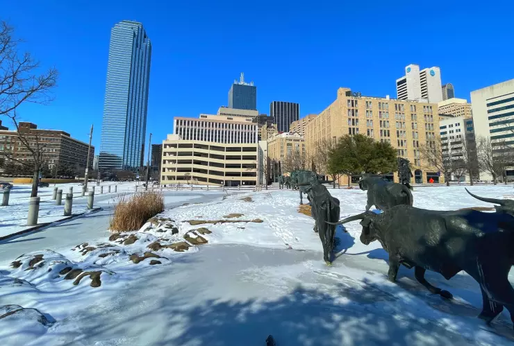 Paisaje invernal en Dallas, Texas