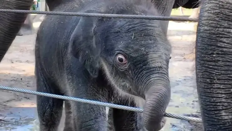 una vista de la pequeña bebita con su mamá