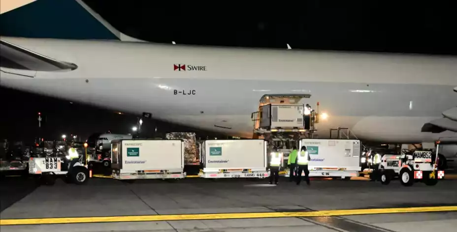 WhatsApp Image 2021-03-25 at 8.28.30 AM.jpeg