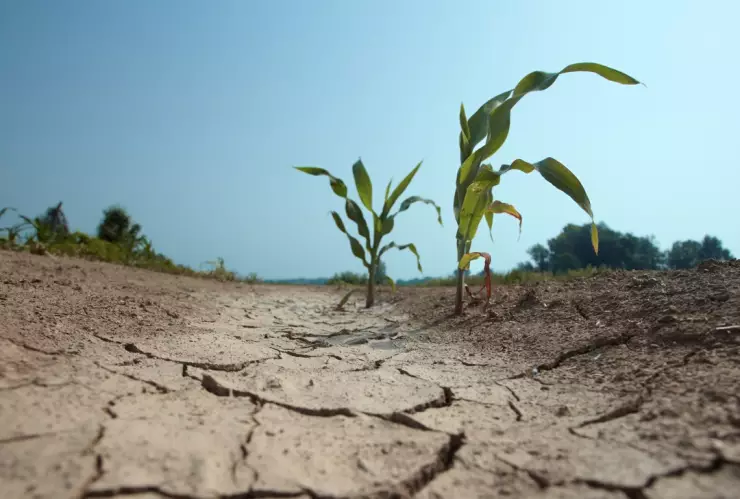 La anomalía climática que puede impactar de manera severa en el norte de México