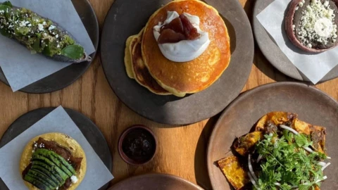 Platos típicos de comida mexicana