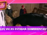 ¡Ni la comida de las vacas distinguen! Rafa Mercadante se molesta por un GRAVE error en La Granja VIP