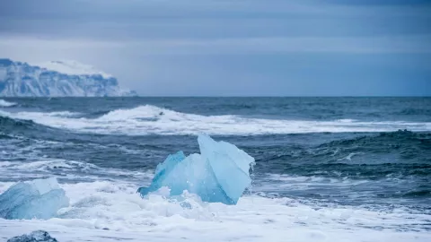 ¿En qué año el Ártico se quedará sin hielo por el calentamiento global Esto dicen científicos
