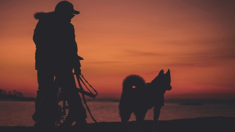¡Un amor muy perro! Conoce la historia real de ‘Vaguito’, el ‘Hachiko’ peruano que se robó el corazón de miles
