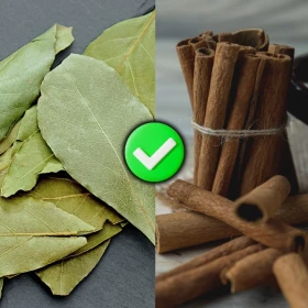 /estilo-de-vida/hervir-laurel-con-canela-para-que-sirve