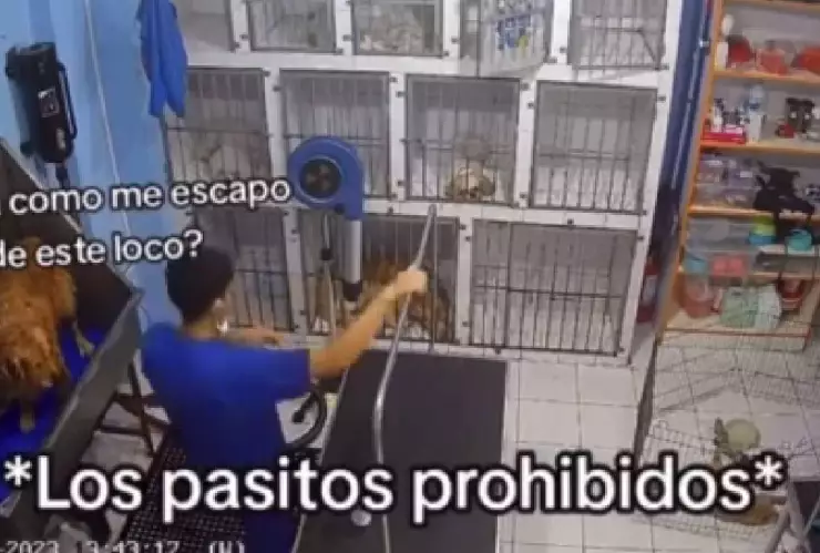 Graban a empleado de veterinaria bailando con perrito; momento se viraliza (VIDEO)