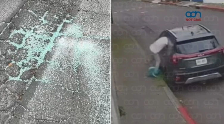 Video de cristalazos en CDMX: graban robo en Tlalpan