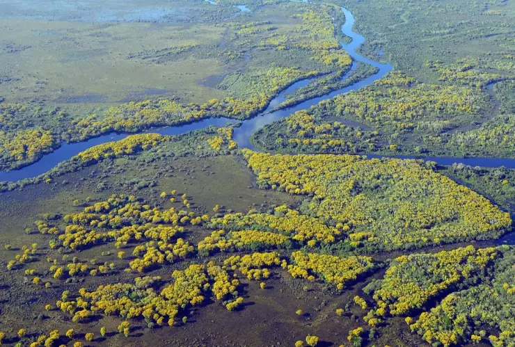 Día mundial de los humedales: ¿Existen en Baja California?