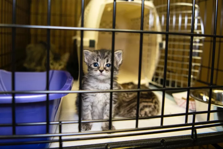 WhatsApp Image 2025-12-09 at 13.46.59.jpg