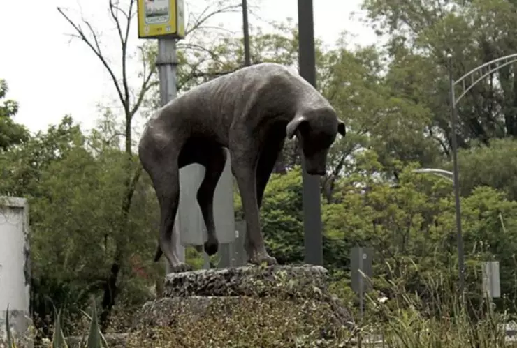La historia detrás de “Peluso”, el monumento de un perrito callejero en la CDMX