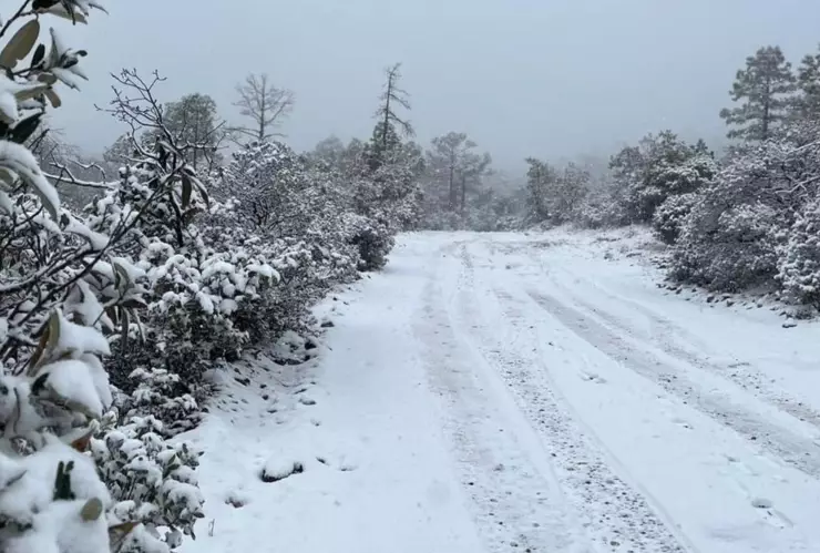 nieve en Chihuahua