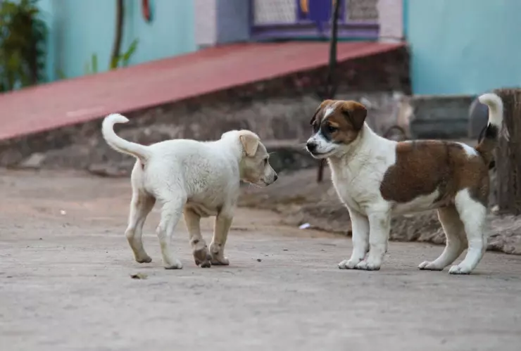 yawan-sahu-CE-tnK3UCc4-unsplash