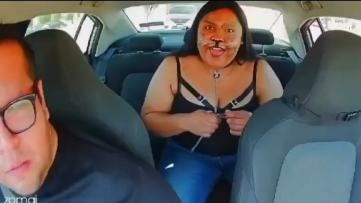 Therian Taxi.jpg
