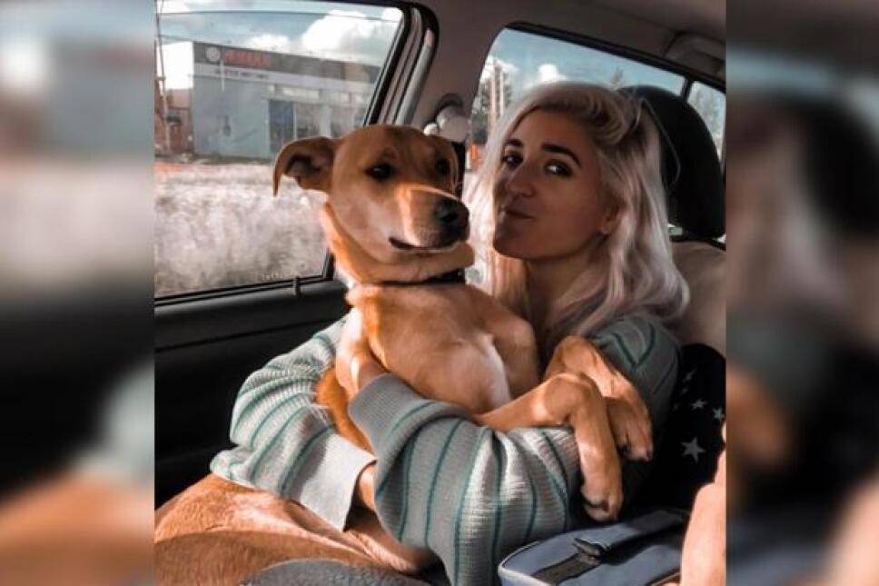 PERRITO PERDIDO SE REENCUENTRA CON SU DUEÑA
