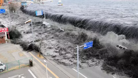 tsunami 2011.jpg
