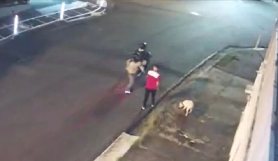 Video Perrito pierde una pata tras salvar a su dueño de un asalto