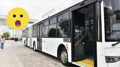 Nuevos camiones orugas se estrenará en la Feria de San Marcos 2025; ¿cuáles serán sus horarios y rutas