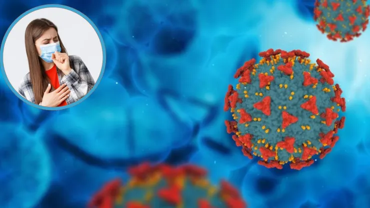 Metapneumovirus humano en México ¿Cuántos casos han confirmado y en dónde?