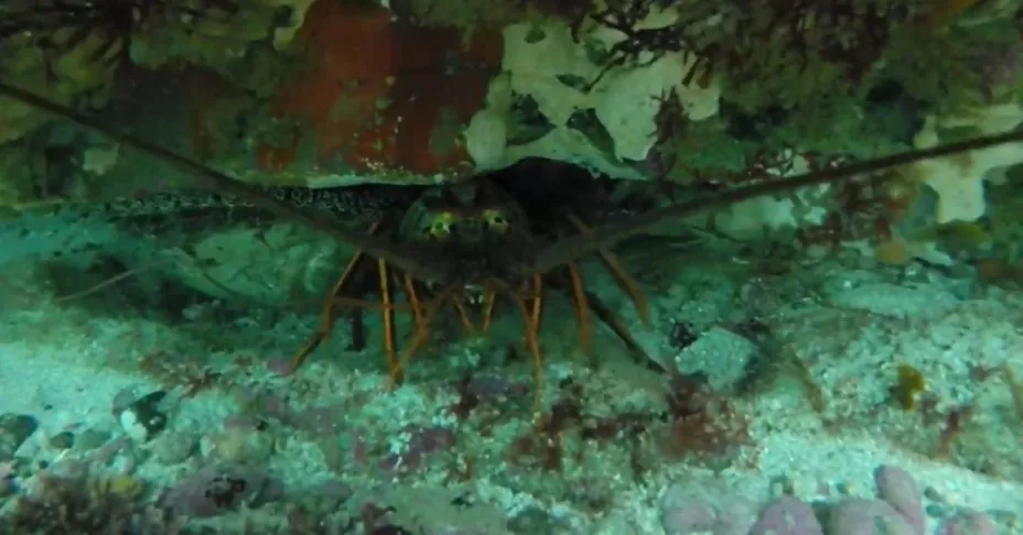 Agricultura 1 octubre 2025.jpg