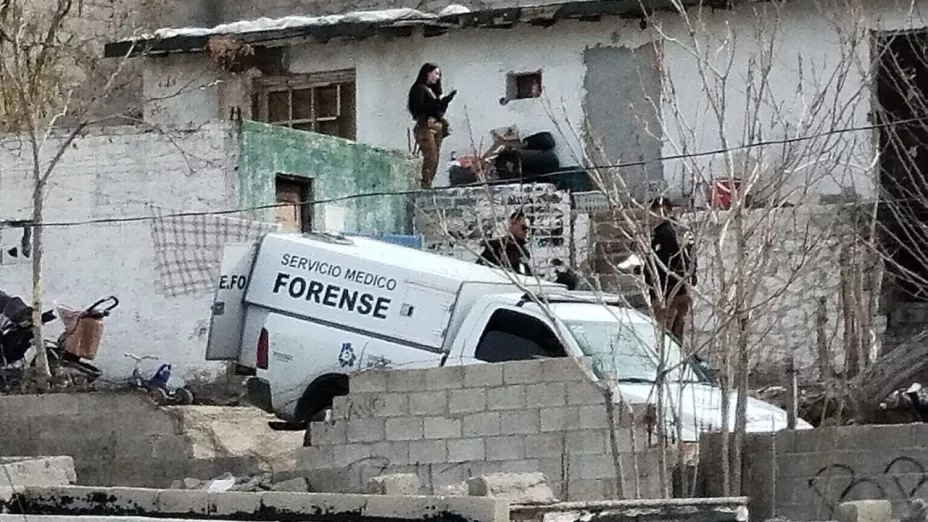 z - 2024-02-15T170944.818.jpg