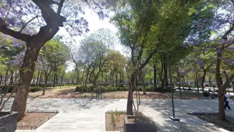 Madre e hija atropelladas en la Alameda Central