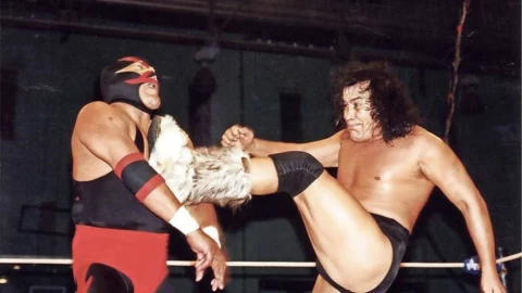 luchas perro aguayo
