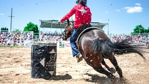 Feria de la Flor Cuernavaca 2025