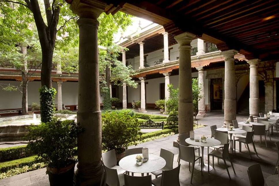cafeteria del claustro museo franz meyer