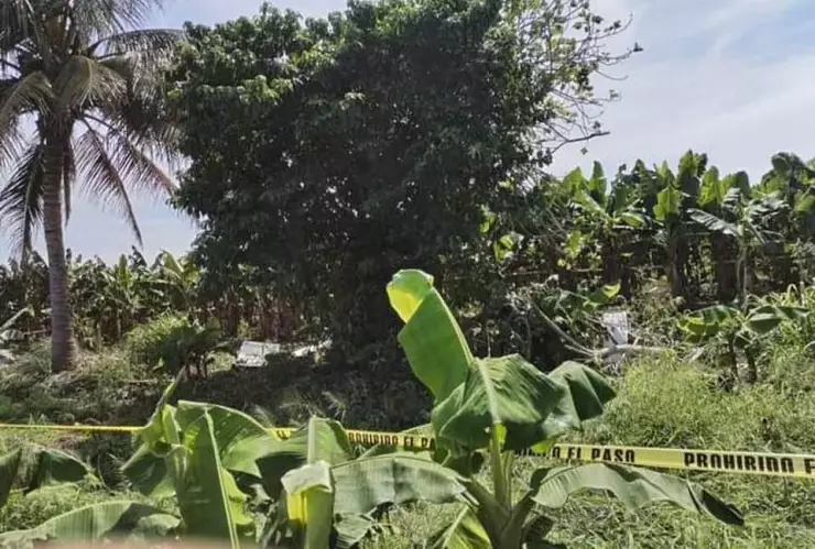 Muere piloto en aeronave fumigador