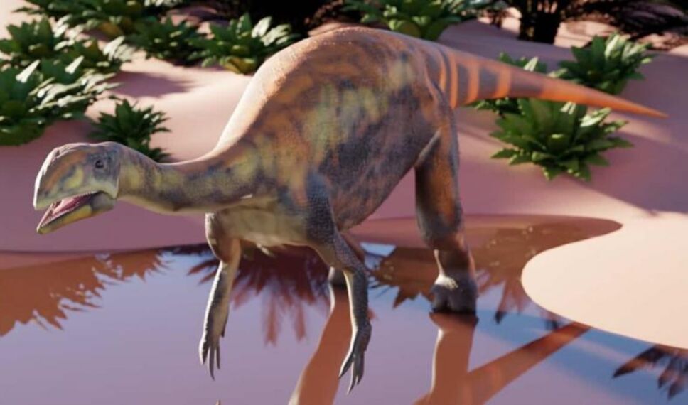dinosaurio groenlandia issi saaneq.jpg