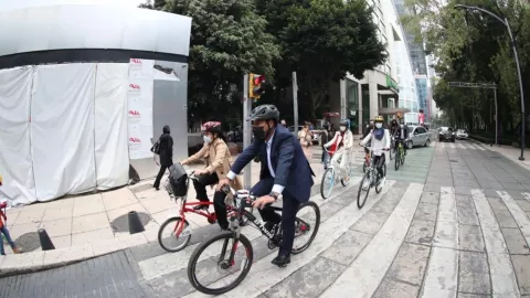 Senadores en bicicleta