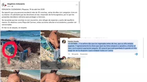 Denuncian a mujer por recolectar conchas con cangrejos vivos en Playa del Carmen; esto se sabe
