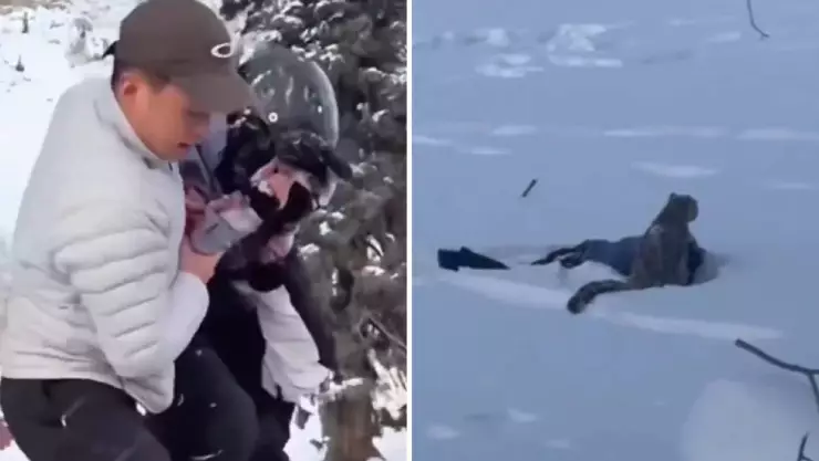 FUERTE VIDEO|Leopardo ataca esquiador que intentó tomarle una foto