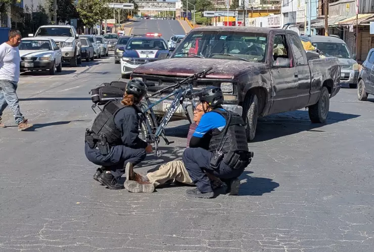 Atropellado Chihuahua.jpg