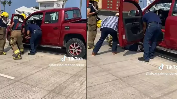 Serpiente Boca del Rio.