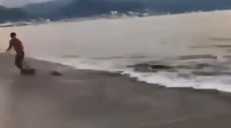 Joven-reta-a-cocodrilo-en-Puerto-Vallarta-y-casi-termina-en-tragedia