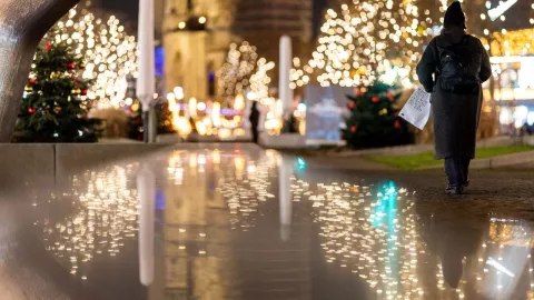 árbol y decoraciones de Navidad para este 2024