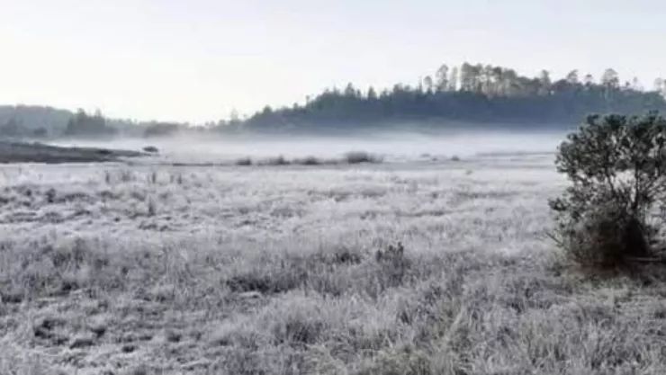 FOTOS: Así las primeras heladas cubrieron los campos y zonas altas de Puebla HOY